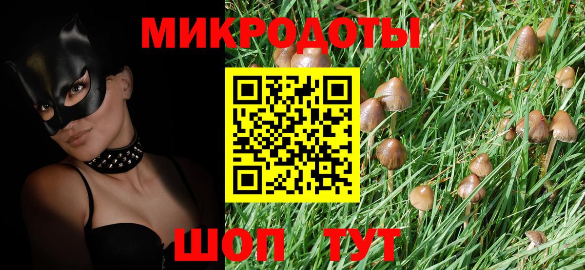 Галлюциногенные грибы Psilocybine cubensis  Галлюциногенные грибы MAGIC MUSHROOMS  Вход с VPN  Тулун 